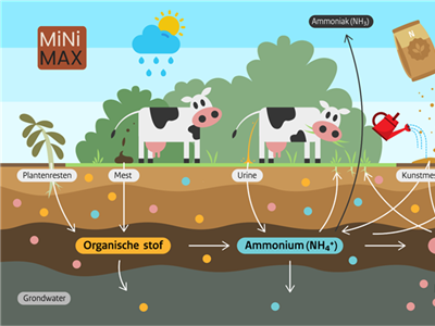 MiNiMax: stikstofmineralisatie 2024