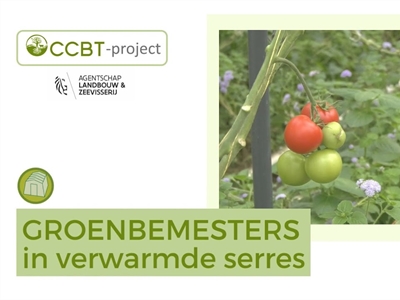 Welke groenbemesters zijn geschikt voor de verwarmde serre?