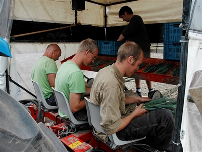 Infofiche 'Ergonomie in de preiteelt'