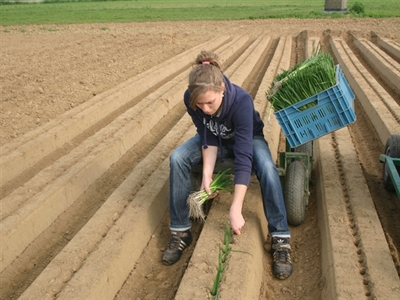 Presentatie ergonomie in de (bio)land- en tuinbouw