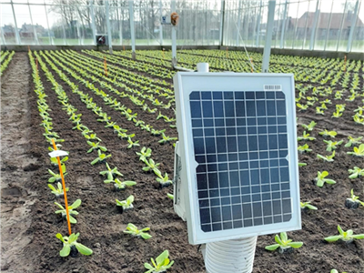 MIRLET.C4G van start: Verhoogde waterproductiviteit in bladgewassen door integratie van de MIRLET-tool met Care4Growing