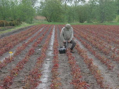 Stikstofanalyses met bemestingsadvies, een must als je ze doordacht inzet