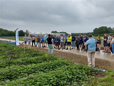 Bataat sector verzamelt voor proefveldbezoek