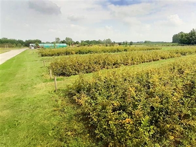 Organische stof, da’s tof!