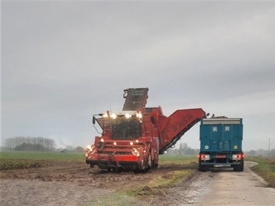 Oogst schiet op, ondanks de regen