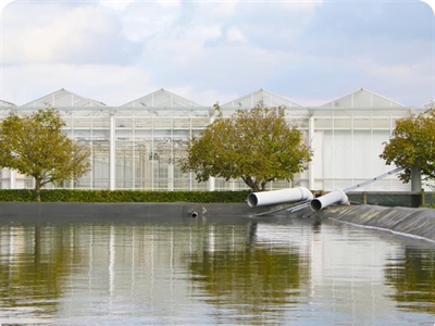 Jaarprogramma Duurzaamheid Sierteelt