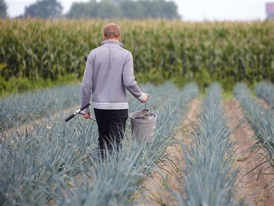 Studiedag 'Bemesten van najaarsgroenteteelten' - Kruisem