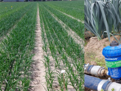 FERT: Fertigatie als duurzame irrigatie- en bemestingsstrategie