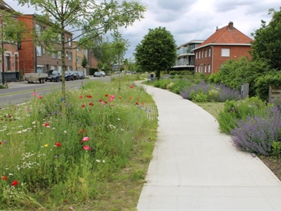 Tuinstraten brengen het landschap tot in de dorpskern