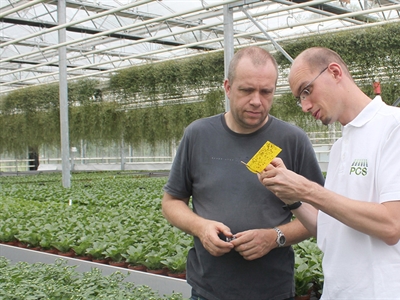 Monitorings in de glastuinbouw: hét basisinstrument voor efficiënte geïntegreerde bestrijding
