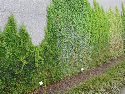 Landbouw investeert in landschap en klimaat