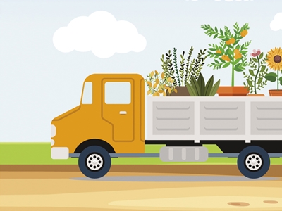 Florlog: optimalisatie van de logistiek in de sierteelt door samenwerking en doorgedreven digitalisering