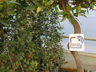 RFID in de boomkwekerij