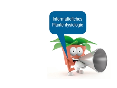 Infofiches plantenfysiologie: plantontwikkeling stimuleren