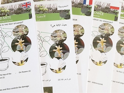 Posters plagen herkennen in de glastuinbouw