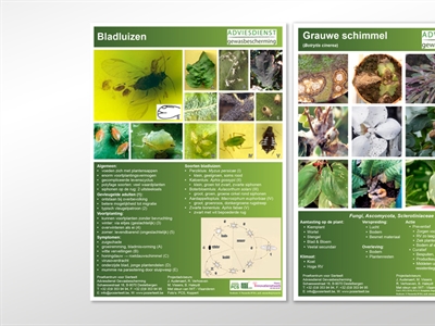 Infofiches plagen en ziekten in de glastuinbouw