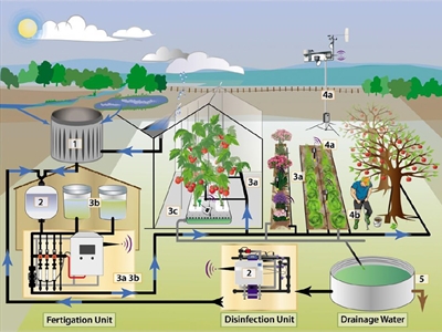 Fertigatiebijbel Fertinnowa: 125 fertigatie- en irrigatietoepassingen in de tuinbouw