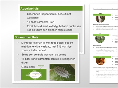 Fiches en sleutel voor het herkennen en beheersen van wolluissoorten
