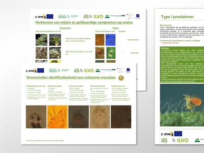 Posters en infofiches mijten herkennen