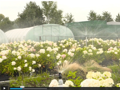 Filmpje Interreg-project NuReDrain - Plattelandspret