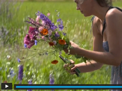 Filmpje Onderzoek voor biobloementeelt - Plattelandspret