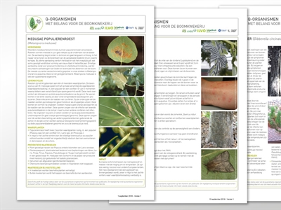 Infofiches quarantaine organismen in de boomkwekerijsector