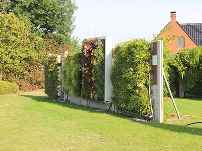 Presentatie kick-off event WonderWalls