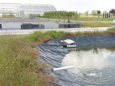 Artikels NuReDrain: verwijdering van nutriënten uit drainwater