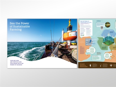 Brochure zeewiergebaseerde biostimulanten