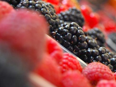 Presentaties Minisymposium bio-onderzoek 2021