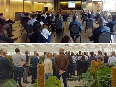 Presentaties Studiedag Potplanten