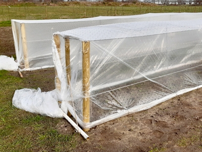 Proefverslag 'Verruimen afzetperiode bij biobloemen door maatregelen op het veld en aanpassingen aan het assortiment'