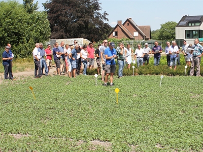 Presentaties Studiedag Boomkwekerij 2022