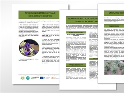 Infofiches biobloemen met tips voor het telen en verzorgen van biobloemen