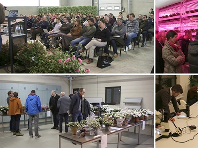 Presentaties Studiedag Azalea & Rhododendron 2023