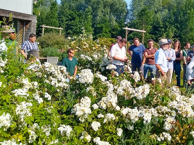 Presentaties lerend netwerkmoment 'Assortiment in natuurlijke tuinen'