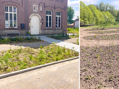 Ontwerp en aanleg van twee natuurlijke demotuinen