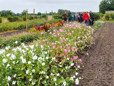 Presentaties Proefveldbezoek Biobloemen