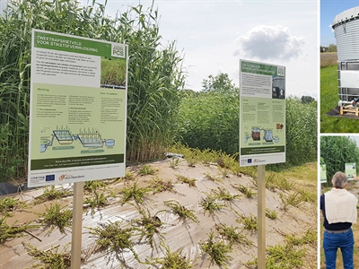 Infoborden '2-in-1 filter voor stikstof- en fosforverwijdering' en 'Tweetrapsrietveld'