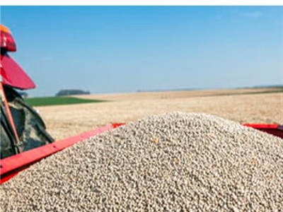 Aardappelen bemesten met een plan