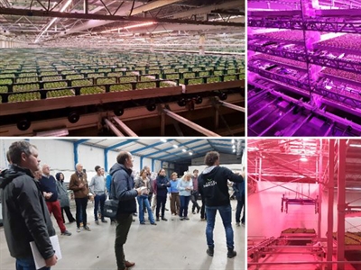 Op bezoek bij Nederlandse sierteeltbedrijven met meerlagenteelt