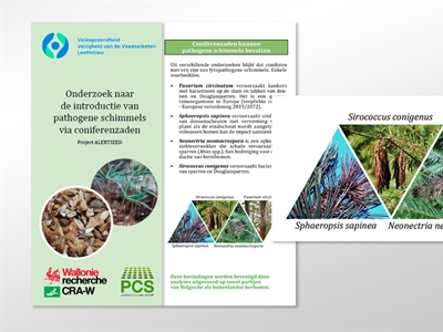 Folder 'Alertseed: onderzoek naar de introductie van pathogene schimmels via coniferenzaden'
