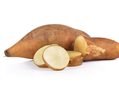 CropExplore for Farmers: Exploratie van duurzame gewassen voor toepassingen in de Vlaamse circulaire bio-economie